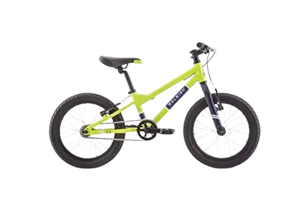 RALEIGH Bikes Rowdy 16/20/24 Kids Bike 